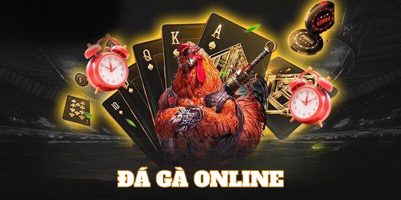 Đá Gà Hi88 - Giao diện trực quan, thao tác nhanh cho cả người mới